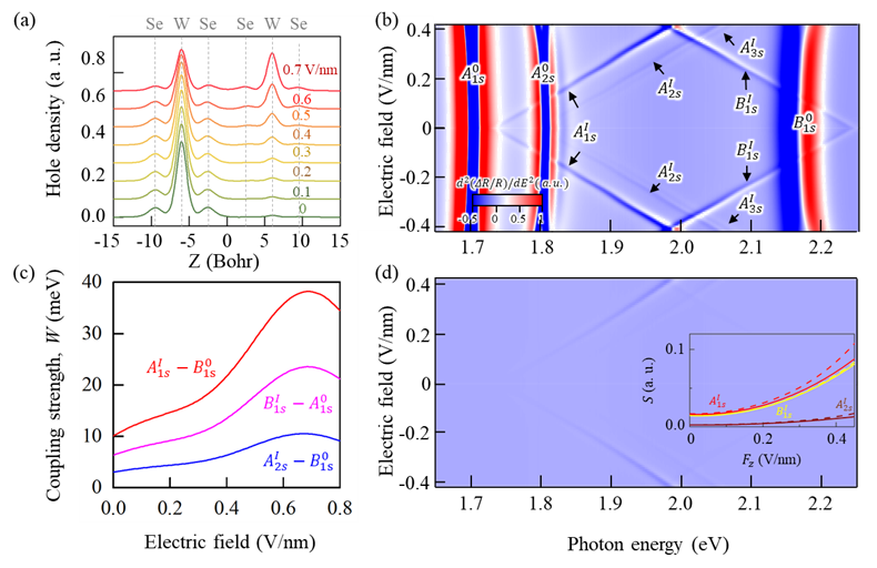 Electric field effects on hole density and excitons in bilayer WSe2